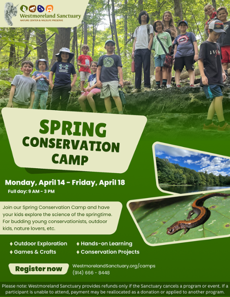 Westmoreland Sanctuary's Spring Conservation Camp